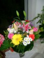 /album/galeria-de-fotos-pagina-inicial/dsc00774-copia-jpg1/